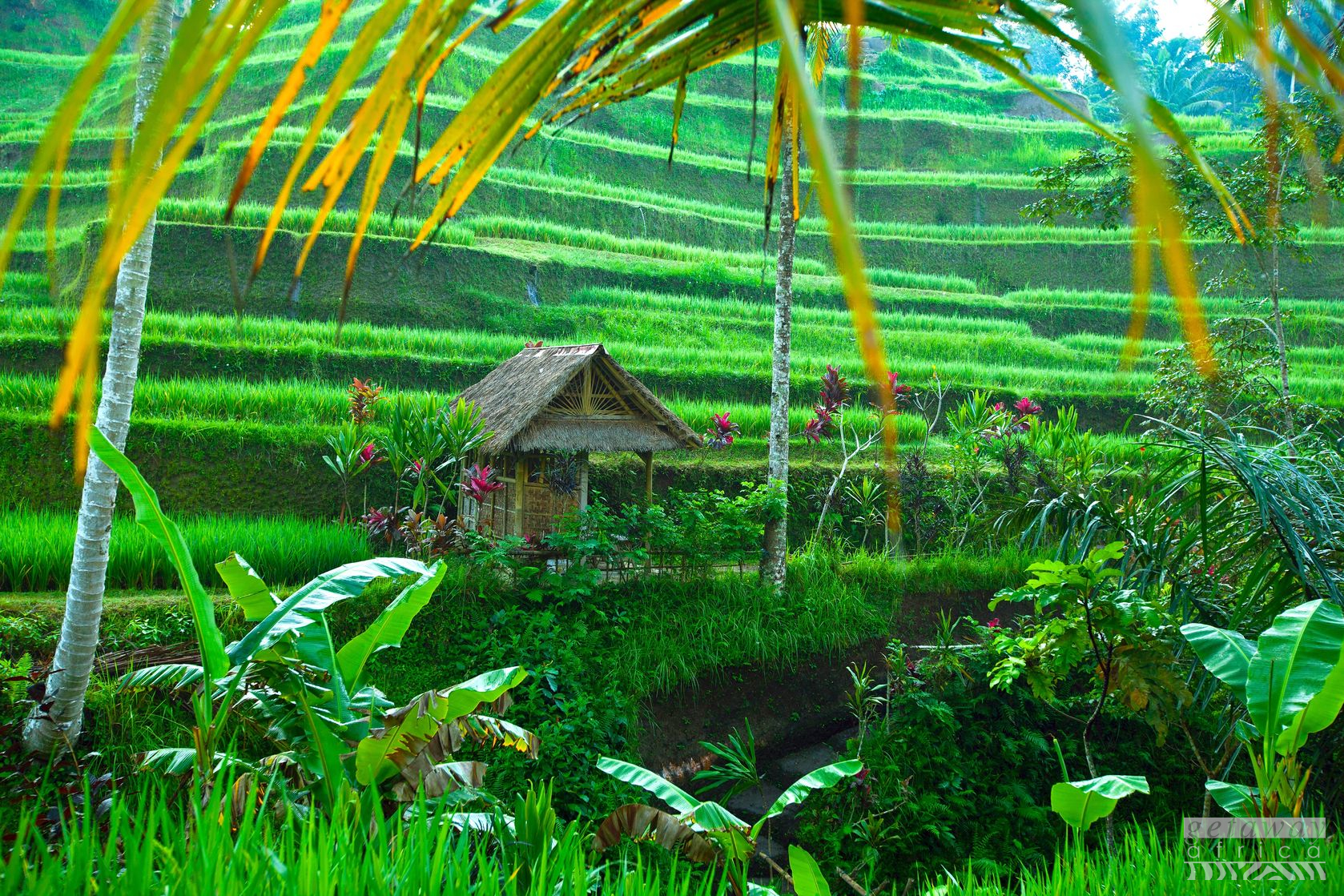 8 Day Bali Holiday Package From South Africa Getaway Africa 8 Day Bali Holiday Package From South Africa Getaway Africa