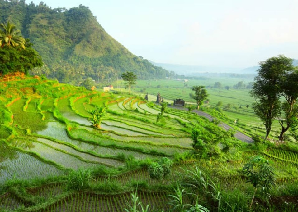 8 Day Highlights of Bali Luxury Private Tour