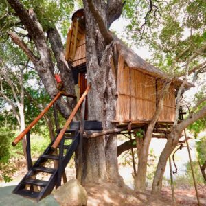 Kruger Treehouse Safari