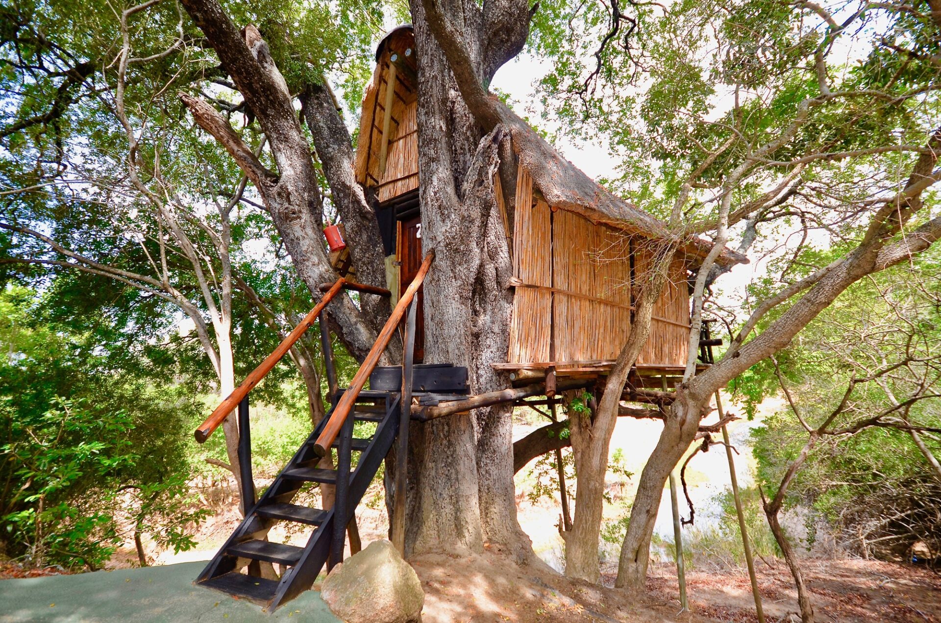 Kruger Treehouse Safari