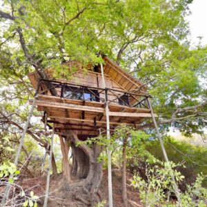 Kruger Treehouse Safari