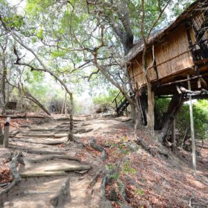 Kruger Treehouse Safari