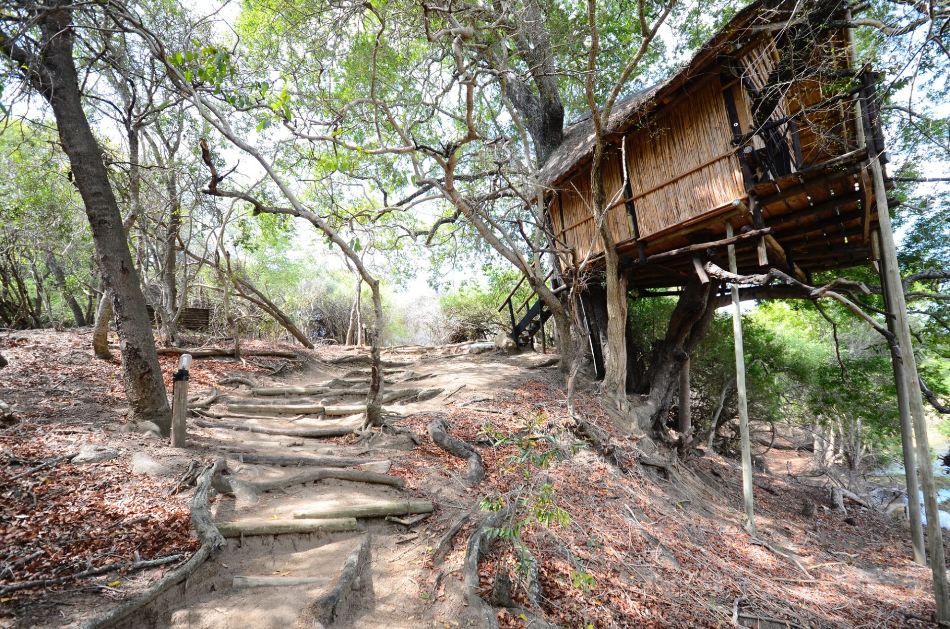 Kruger Treehouse Safari