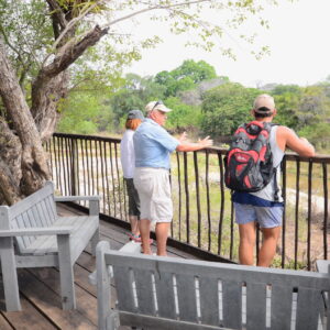 Kruger Treehouse Safari