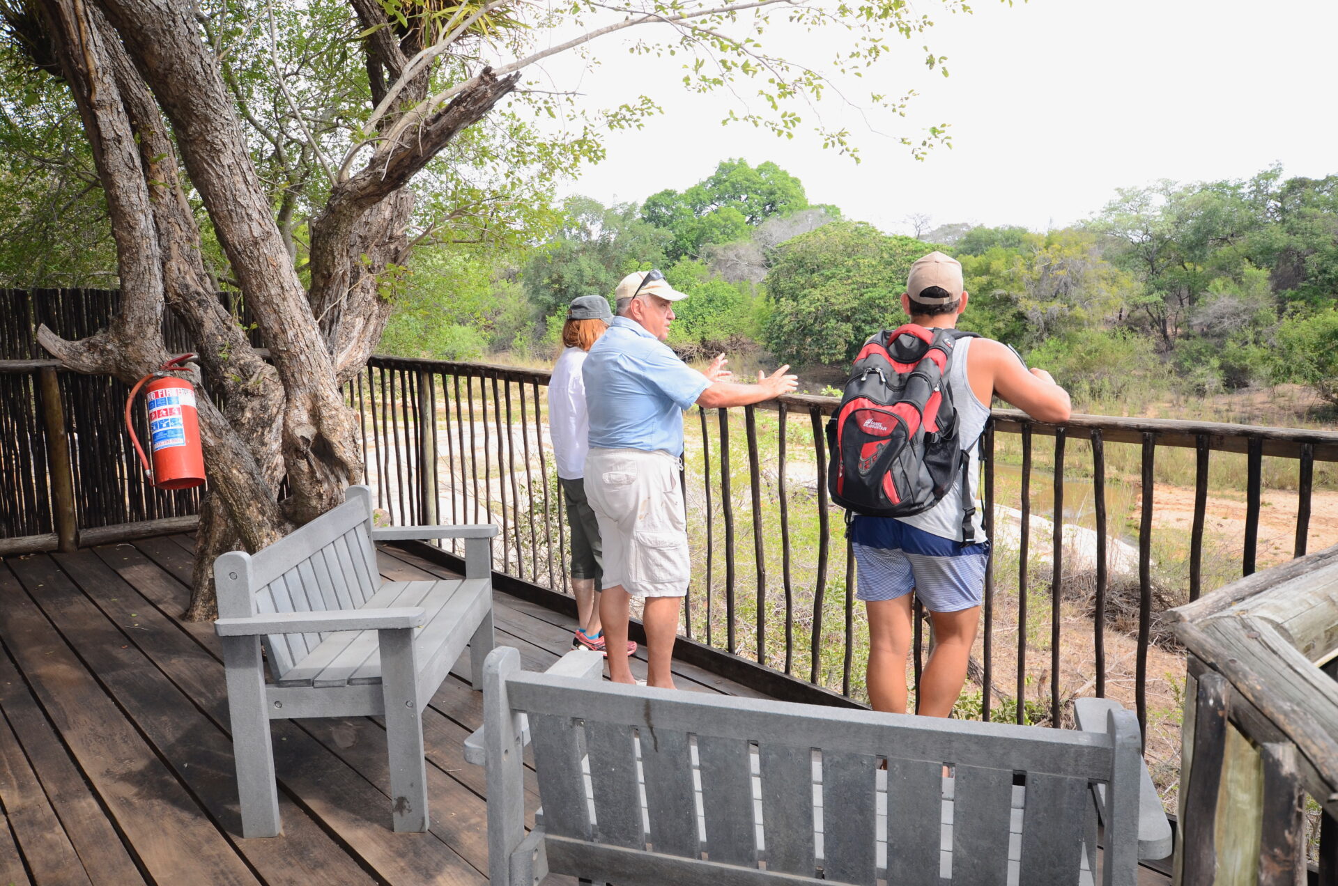 Kruger Treehouse Safari