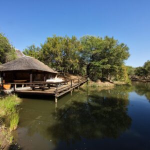 Kruger Treehouse Safari