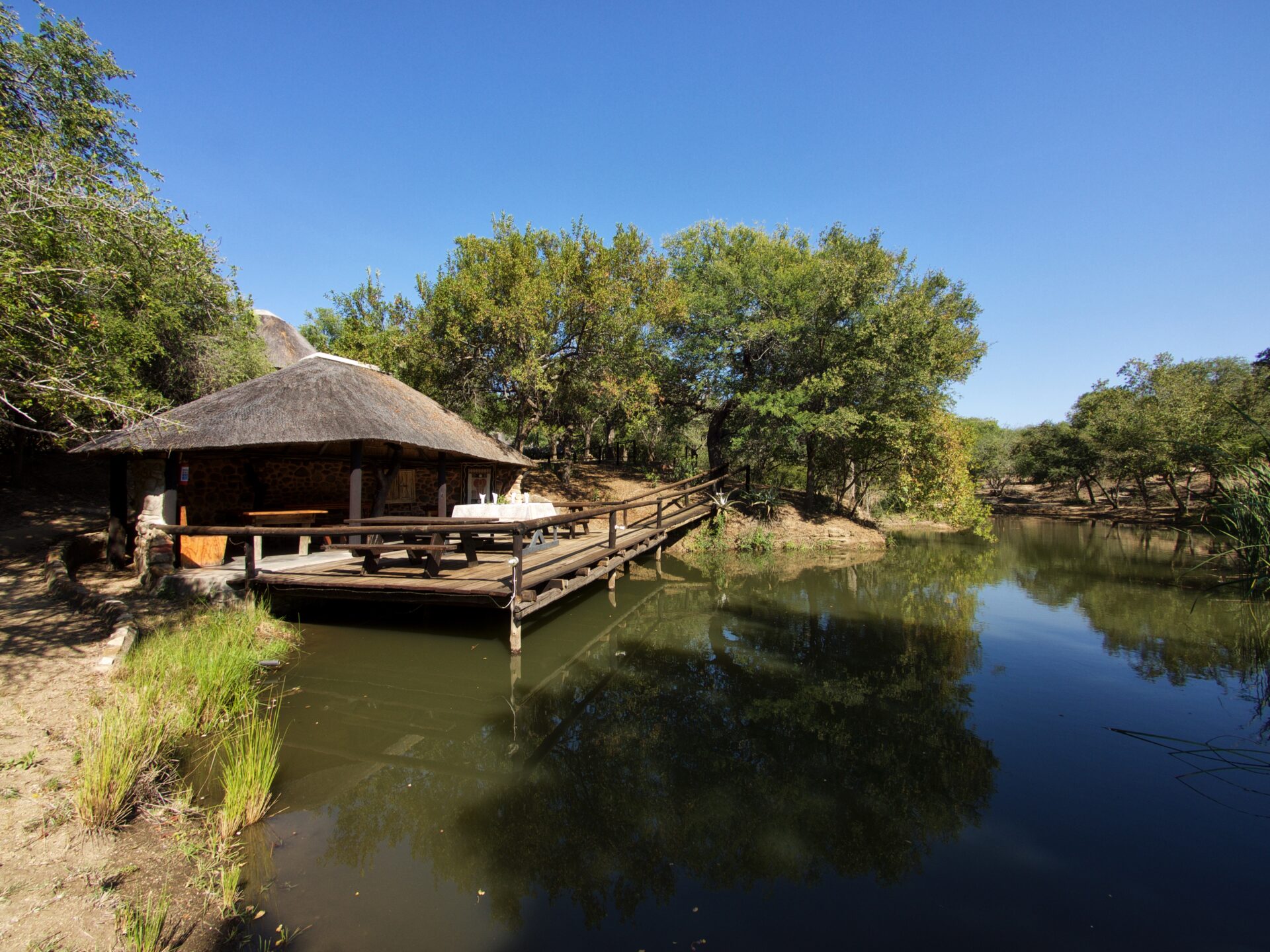 Kruger Treehouse Safari