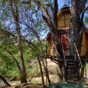 Kruger Treehouse Safari