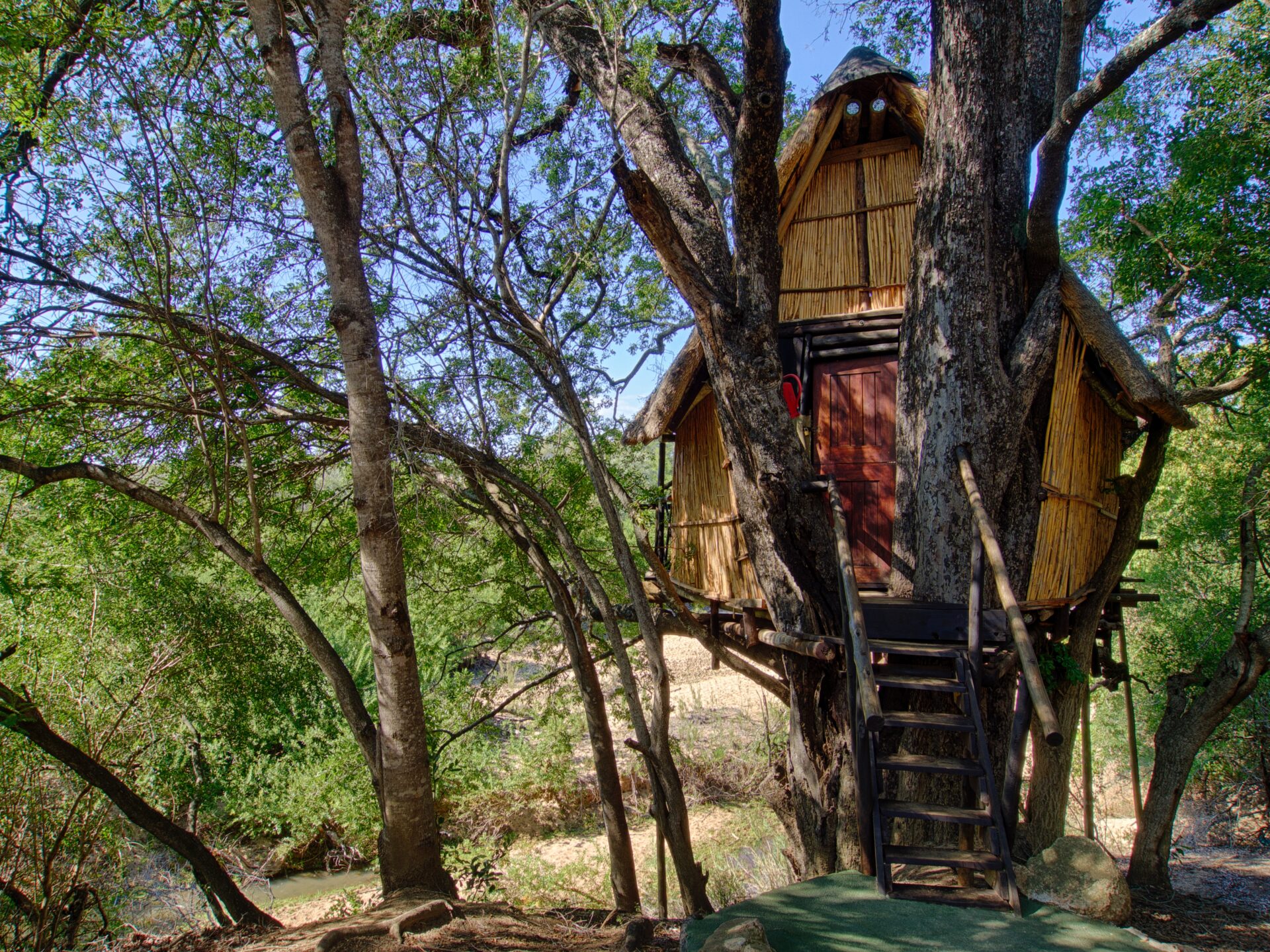Kruger Treehouse Safari