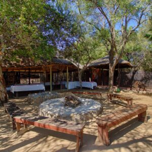 Kruger Treehouse Safari