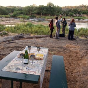Kruger Treehouse Safari
