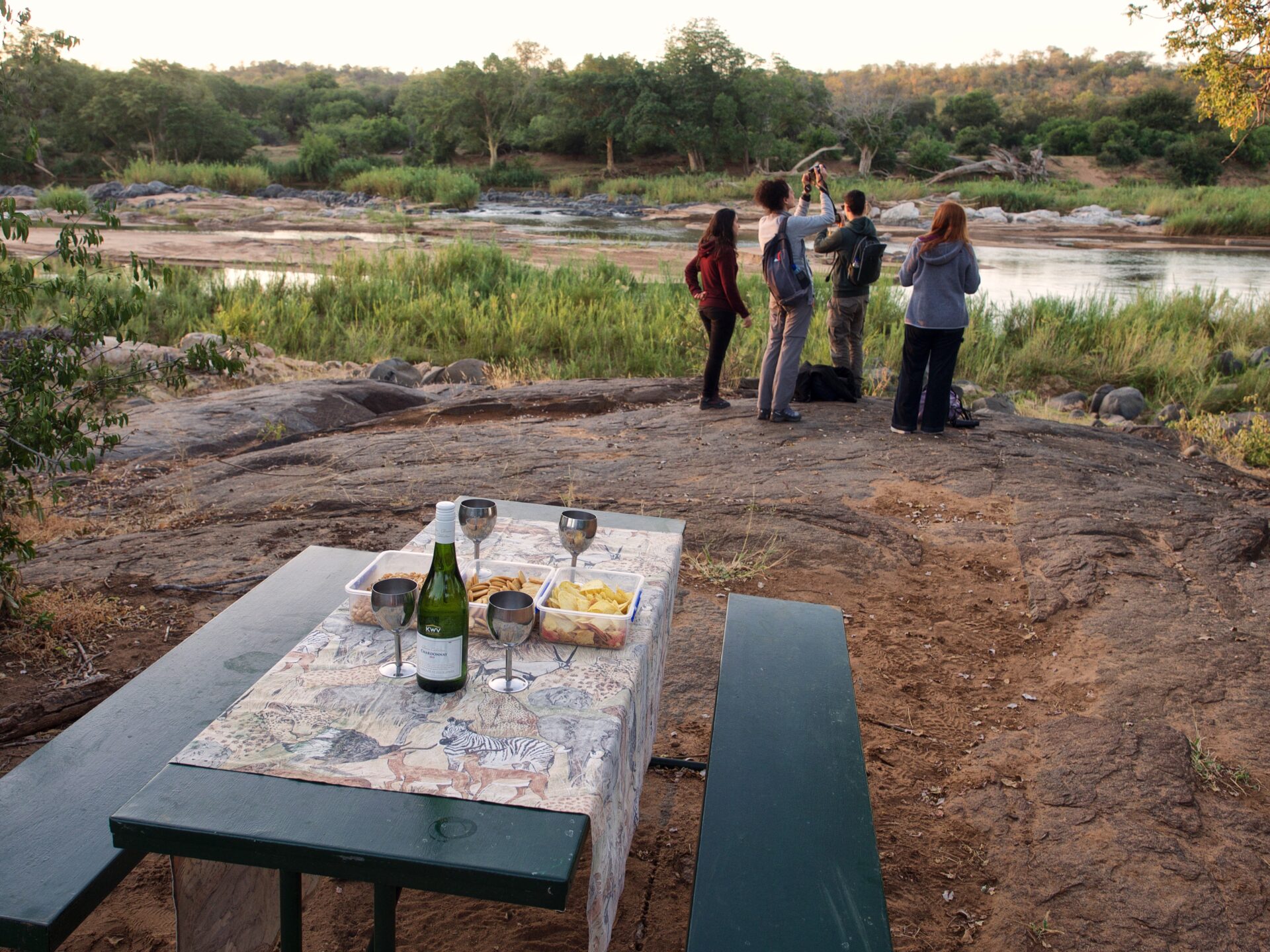 Kruger Treehouse Safari