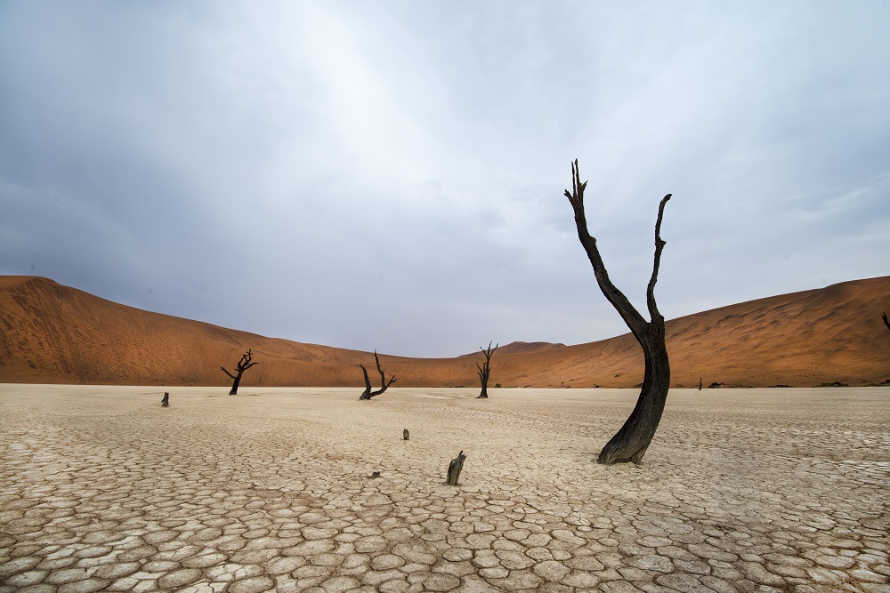 Touring Namibia in Overland Truck