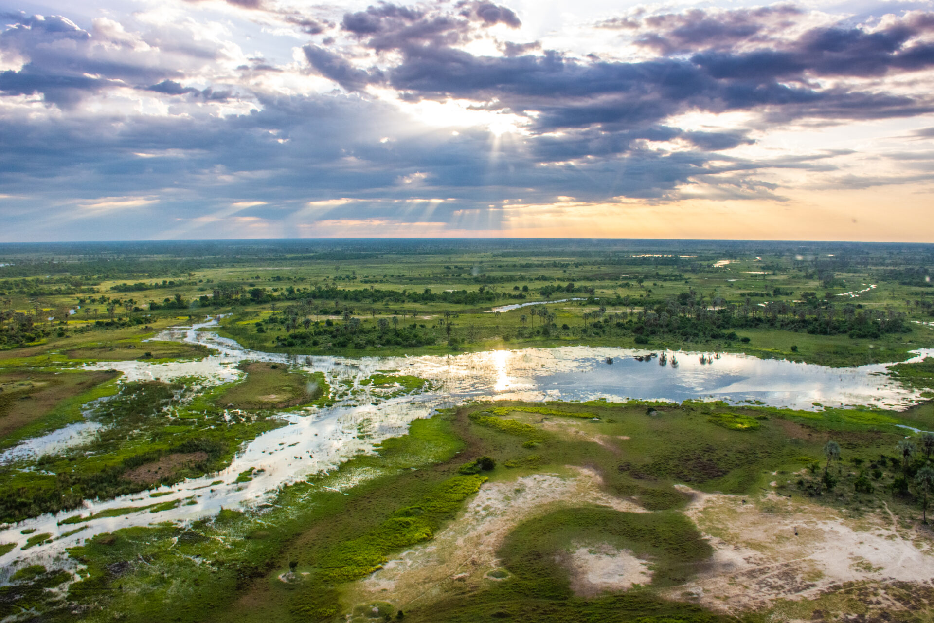 5 Day Chobe and Moremi Fly-in Safari