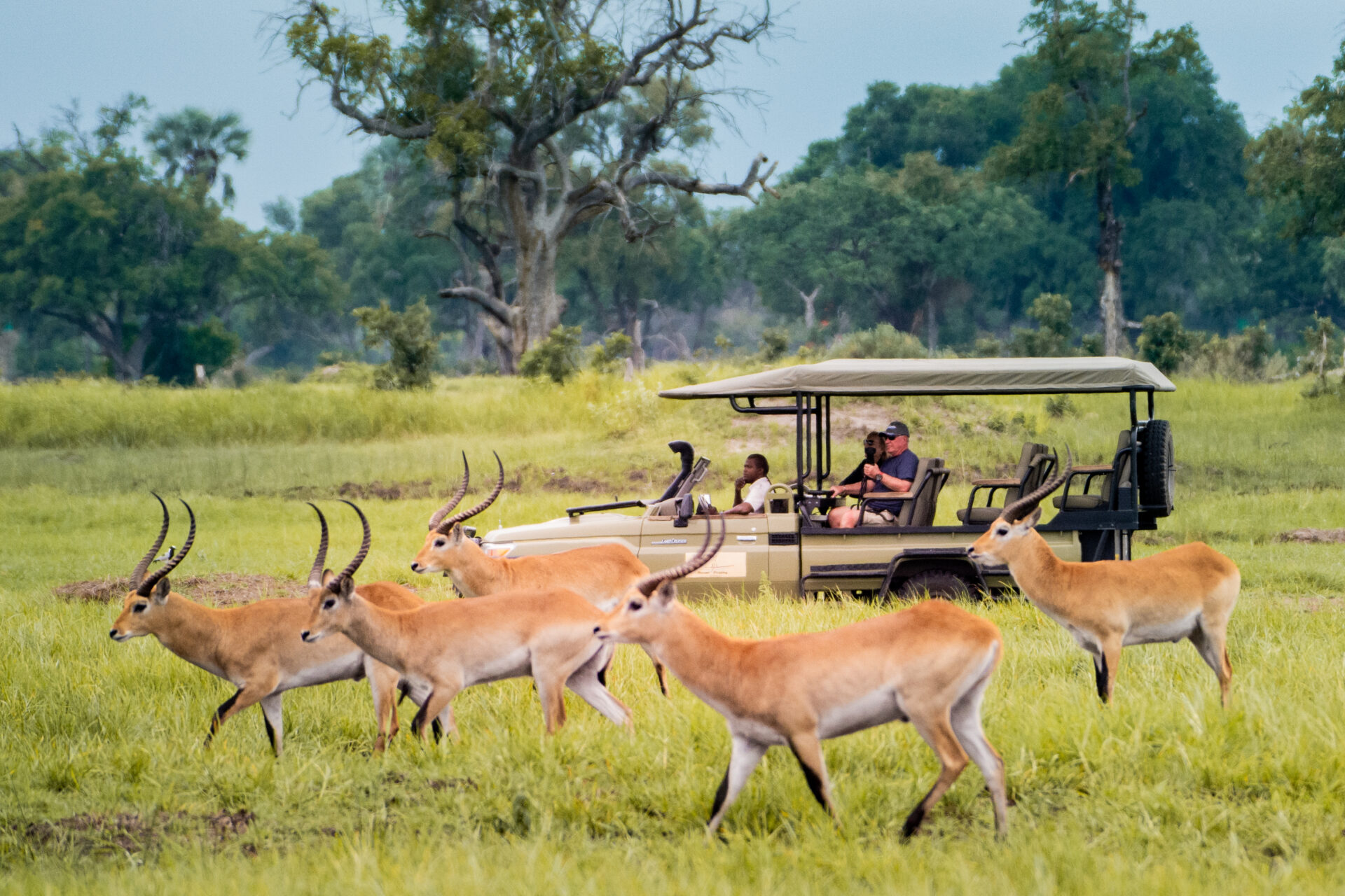 5 Day Chobe and Moremi Fly-in Safari