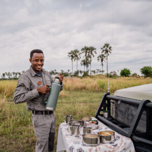 Moremi Crossing Okavango Delta Safari