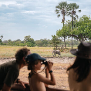Moremi Crossing Okavango Delta Safari