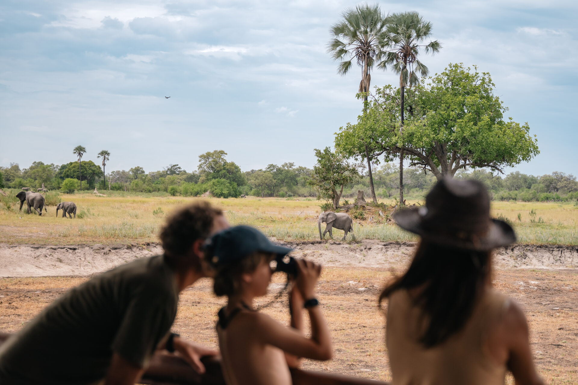 Moremi Crossing Okavango Delta Safari