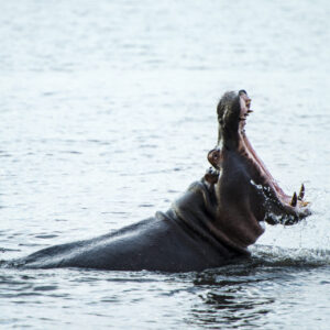 10 Day Windhoek to Victoria Falls