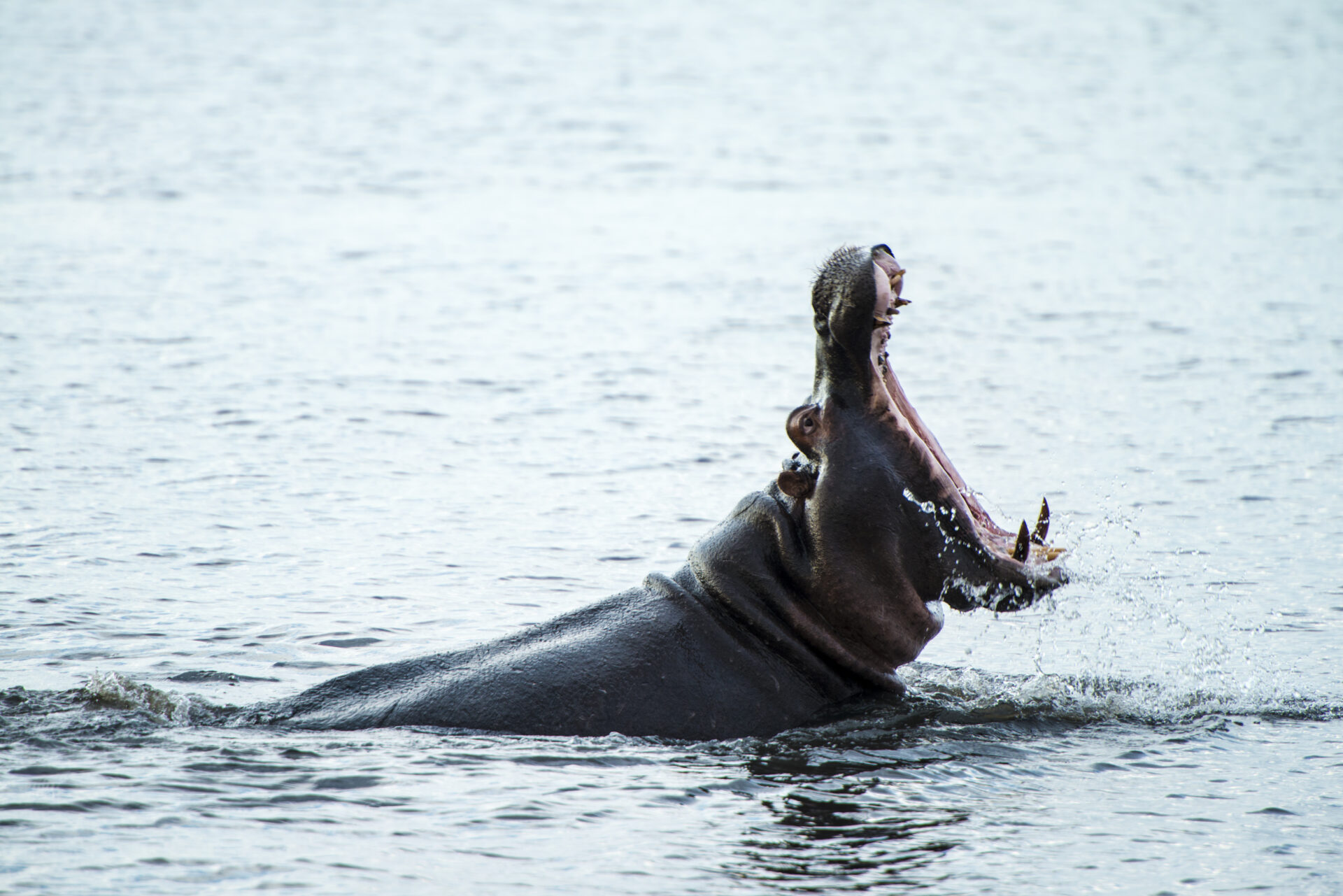 10 Day Windhoek to Victoria Falls