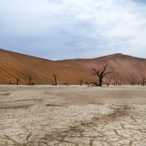 11 Day Cape Town to Windhoek