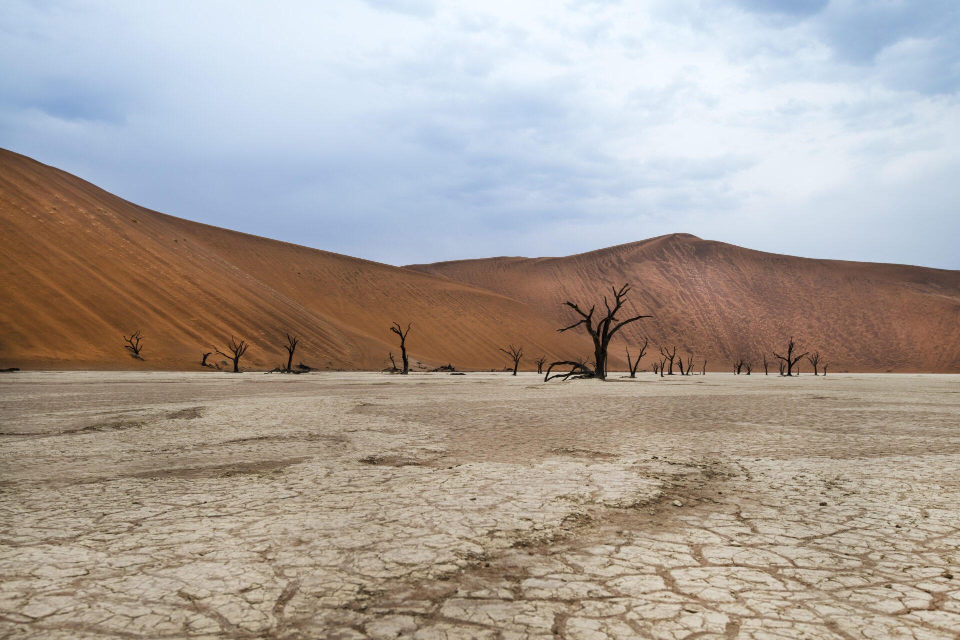 11 Day Cape Town to Windhoek