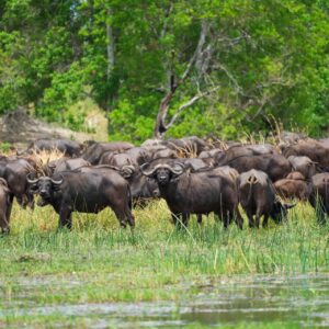 10 Day Windhoek to Victoria Falls