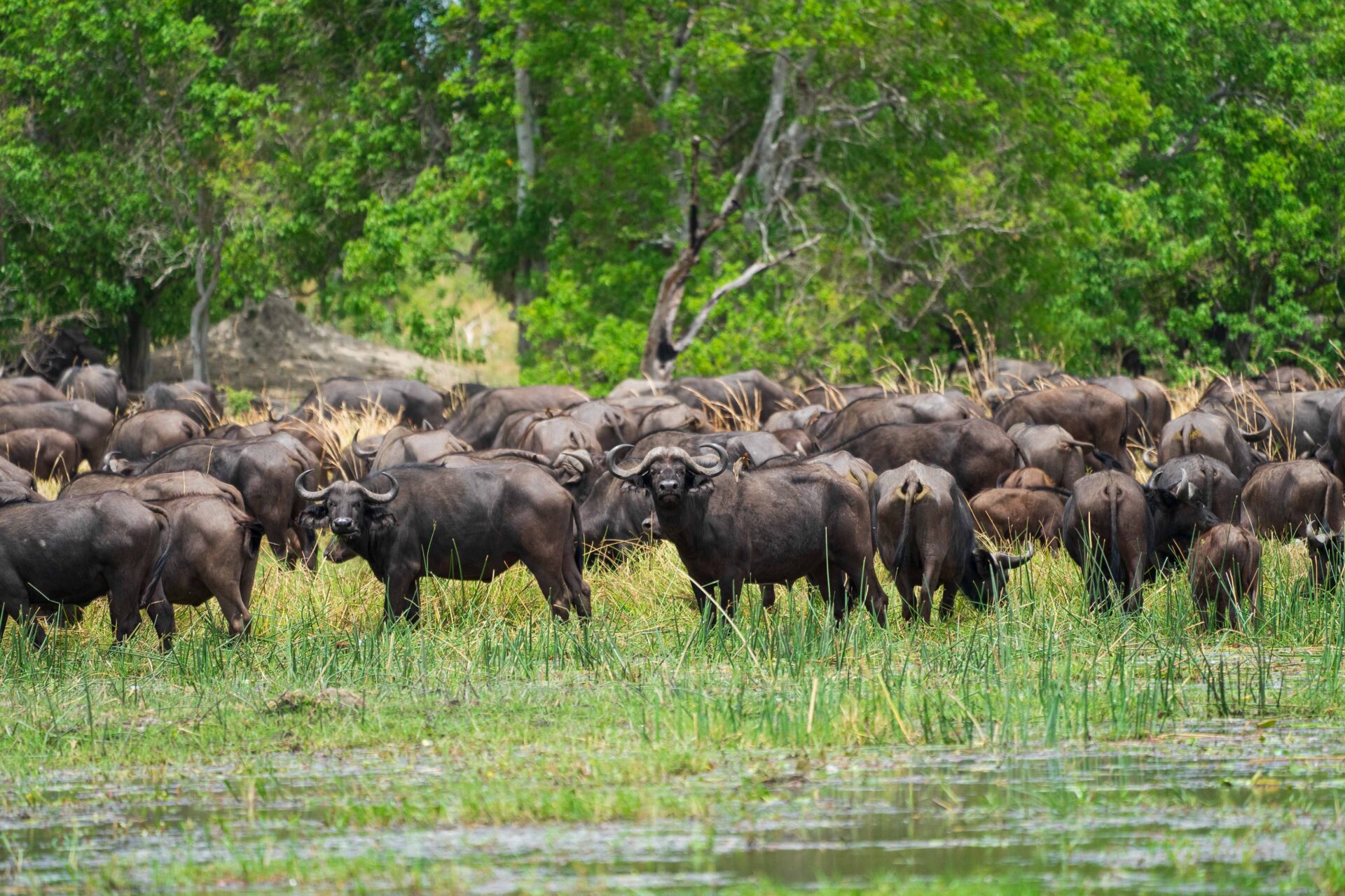 10 Day Windhoek to Victoria Falls