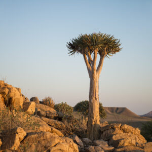 11 Day Cape Town to Windhoek