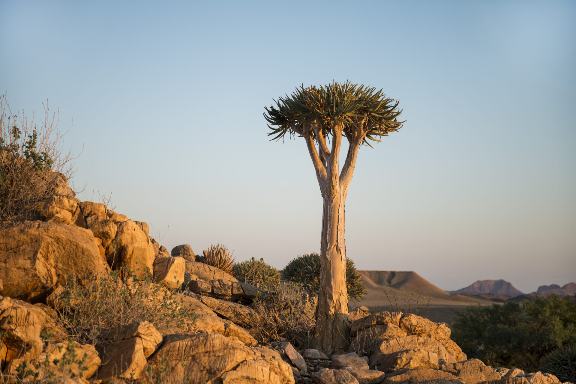11 Day Cape Town to Windhoek