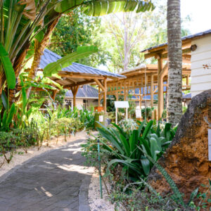 The Ravenala Attitude