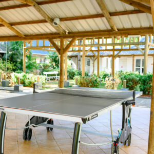 The Ravenala Attitude