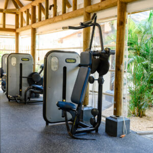 The Ravenala Attitude