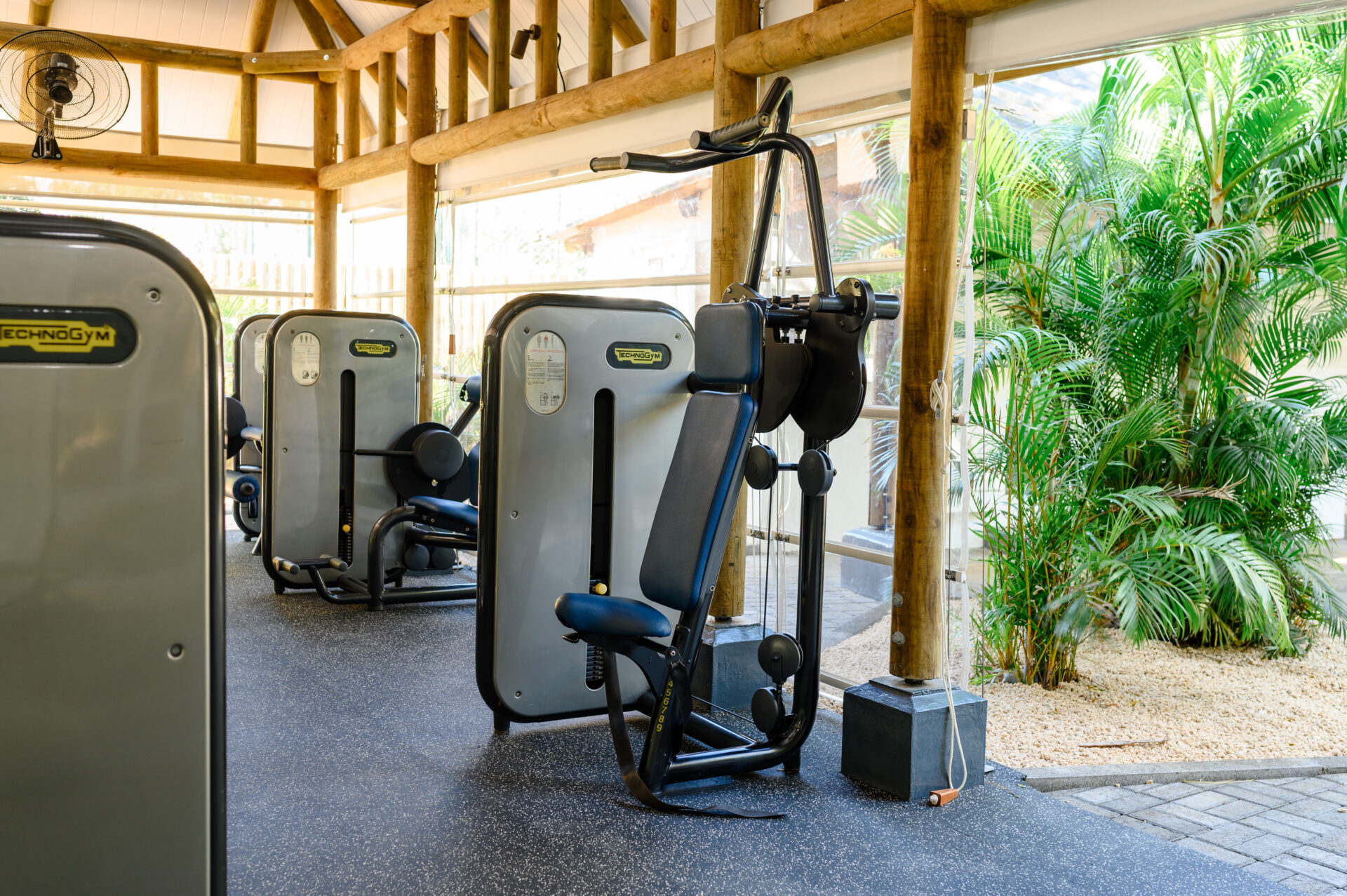 The Ravenala Attitude