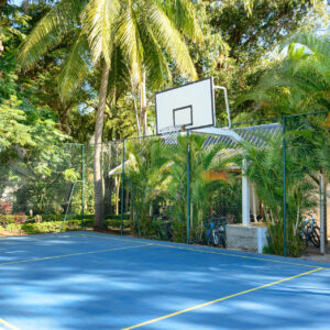 The Ravenala Attitude