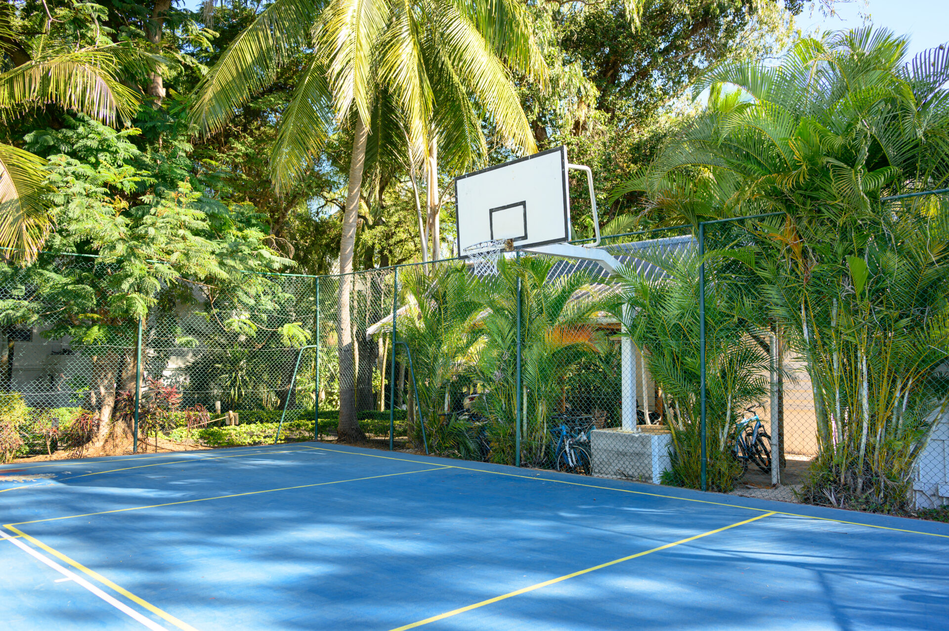 The Ravenala Attitude