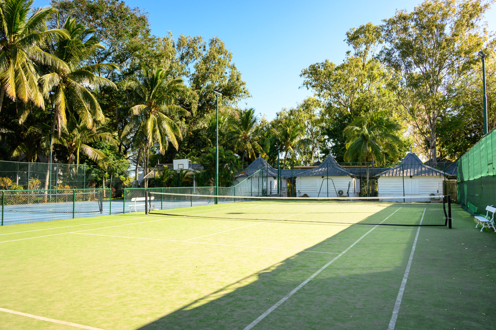 The Ravenala Attitude