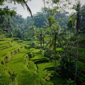 8 Day Singapore and Bali Combo