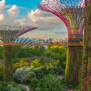 8 Day Singapore and Bali Combo