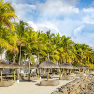 The Ravenala Attitude