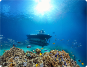 
Blue Safari Submarine Tour
