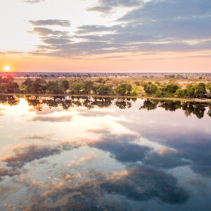 Pom Pom Camp Okavango Delta Safari