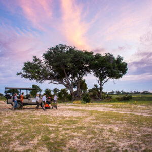 Pom Pom Camp Okavango Delta Safari