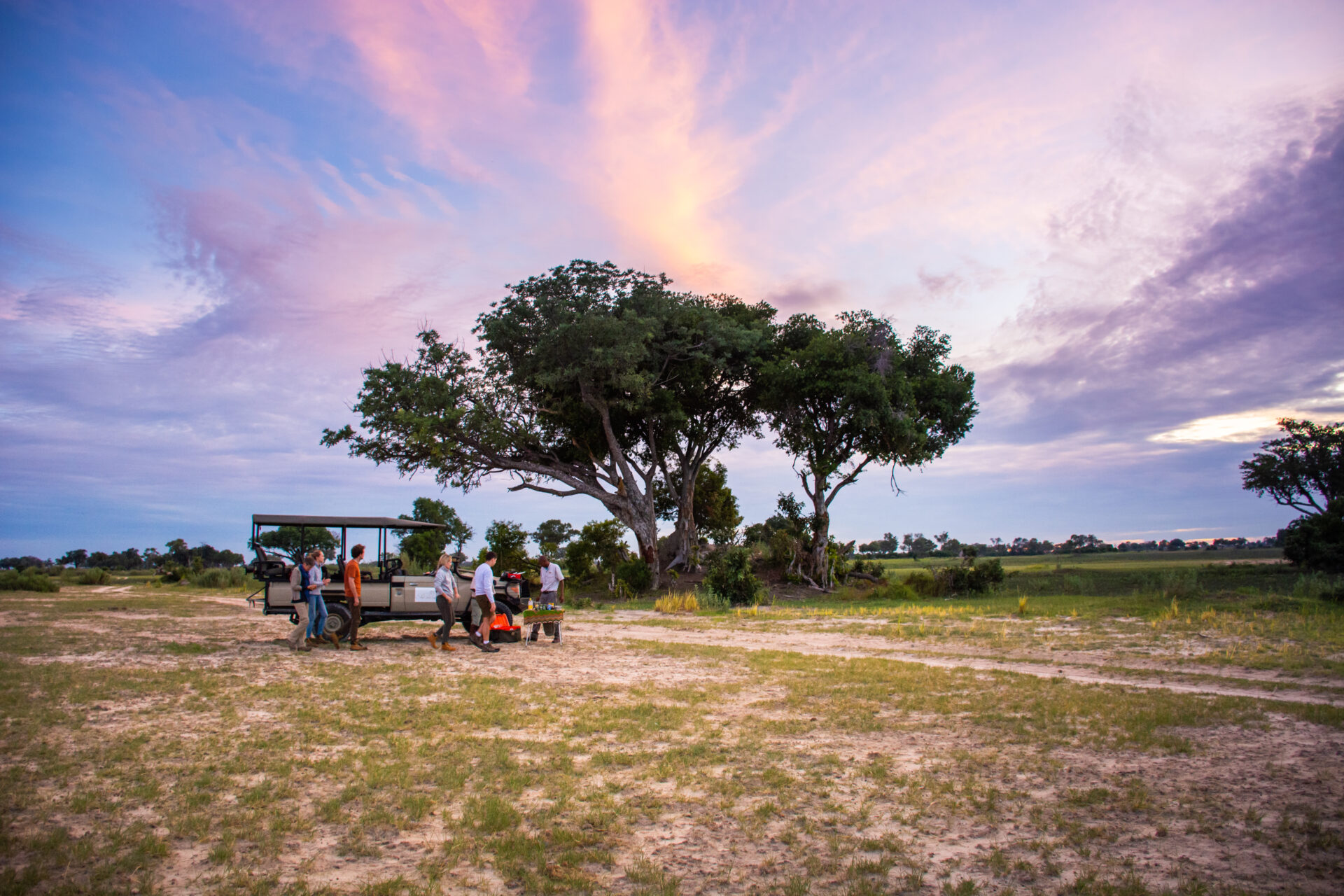 Pom Pom Camp Okavango Delta Safari