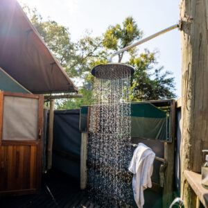 Pom Pom Camp Okavango Delta Safari