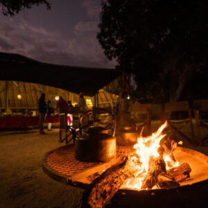Pom Pom Camp Okavango Delta Safari