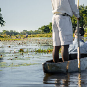 Pom Pom Camp Okavango Delta Safari