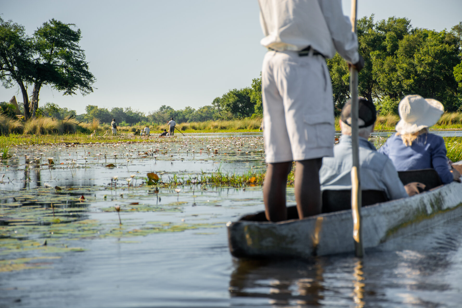 Pom Pom Camp Okavango Delta Safari